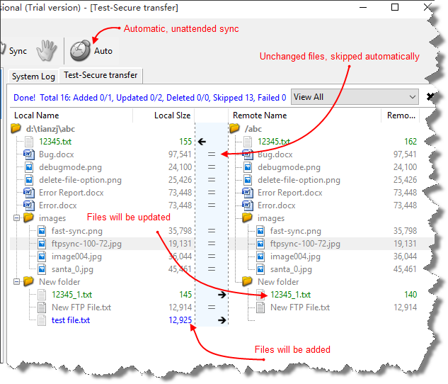 FTP Synchronizer